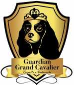 Guardian Grand Cavallier